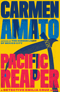 Carmen Amato,books by carmen amato,author,mystery author
