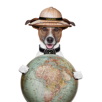 dog and globe cartoon photo