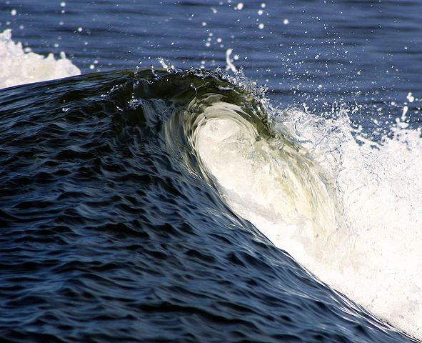 Writing for Water: August’s Big Wave