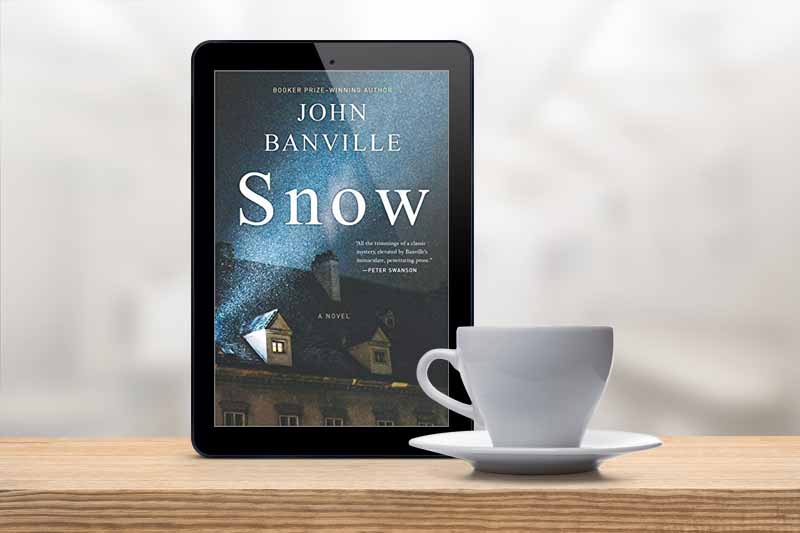 john banville snow book review