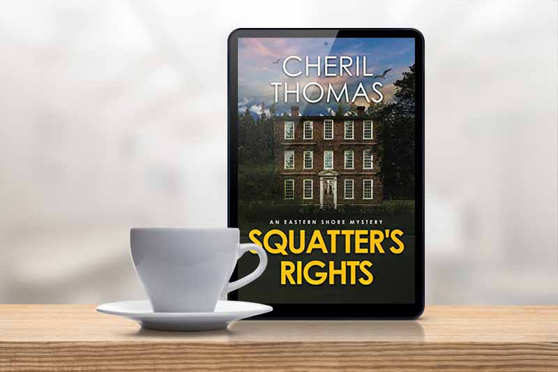 Book Review: Family Secrets Come with the House in SQUATTER’S RIGHTS