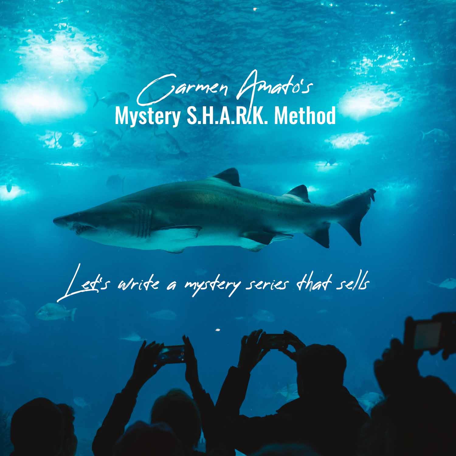 Mystery Shark Method masterclass