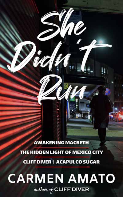 She Didn't Run 3 book box set