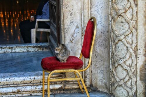 Vacant room with red chair symbolizes the missing